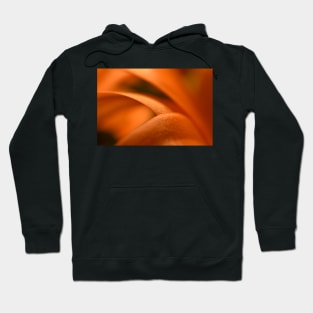 Orange flower petals Hoodie